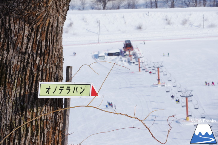 新得町・新得山スキー場 記録的な大雪でスキー場開設以来、最大積雪に到達?!